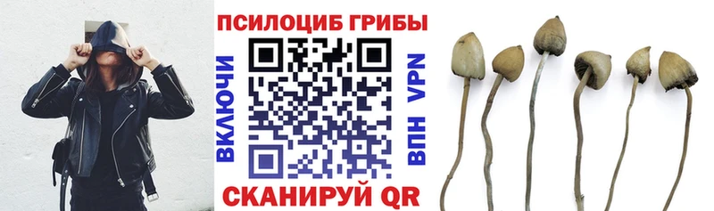 Псилоцибиновые грибы Cubensis Ликино-Дулёво