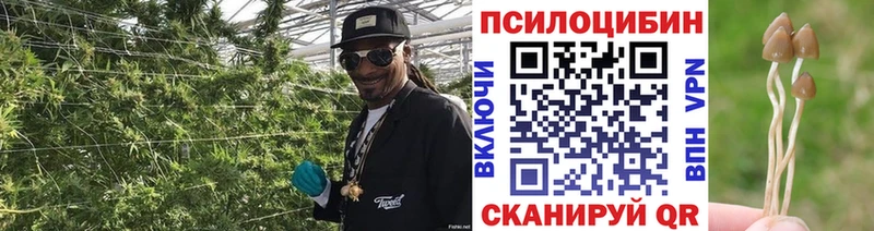 Галлюциногенные грибы MAGIC MUSHROOMS Ликино-Дулёво